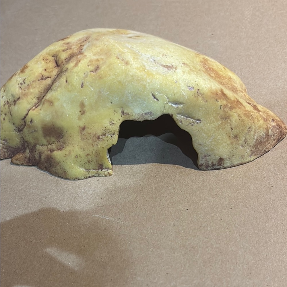 Yellow and Brown Reptile Habitat Dome